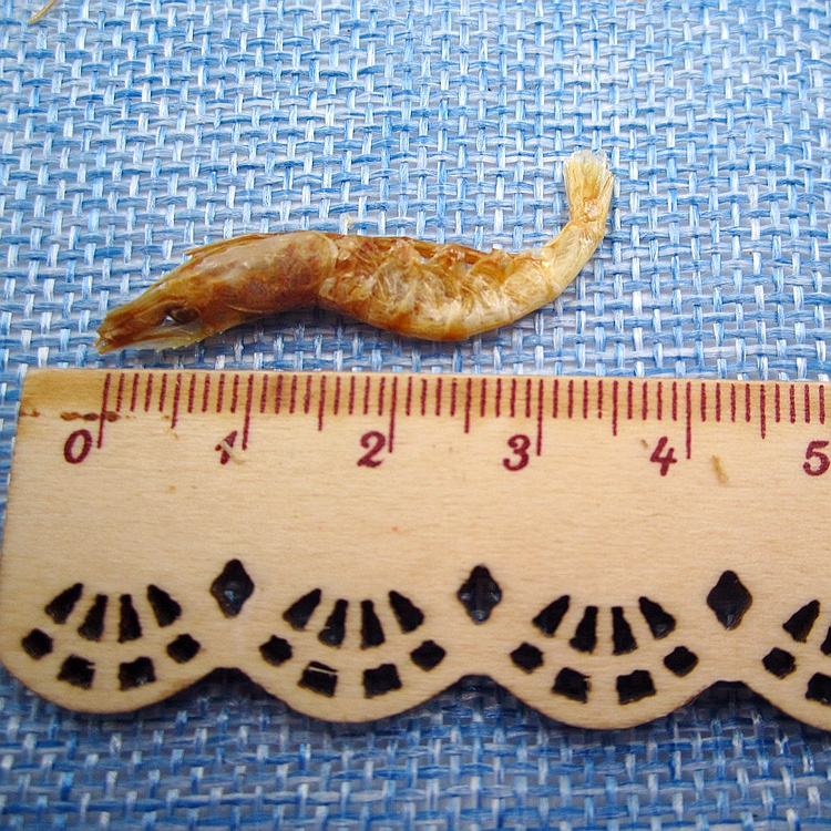 Dried Shrimp for Natural Pet Fish Food